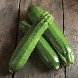 Garden Spineless, (F1) Zucchini Seeds